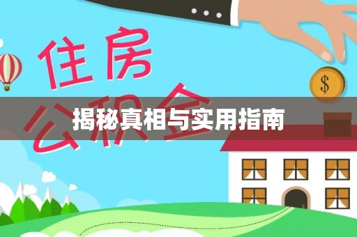木兰揭秘真相与实用指南