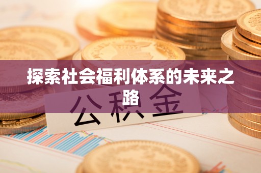 木兰探索社会福利体系的未来之路