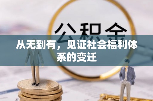 木兰从无到有，见证社会福利体系的变迁