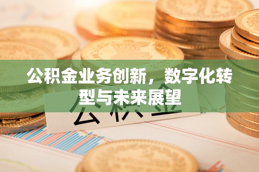 木兰公积金业务创新，数字化转型与未来展望