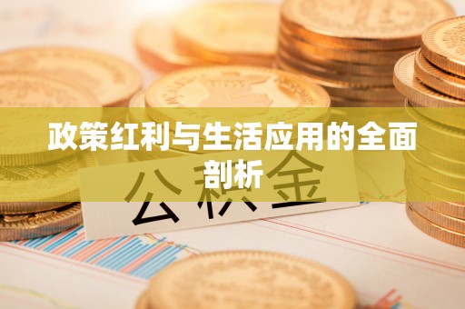 木兰政策红利与生活应用的全面剖析