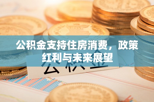 木兰公积金支持住房消费，政策红利与未来展望