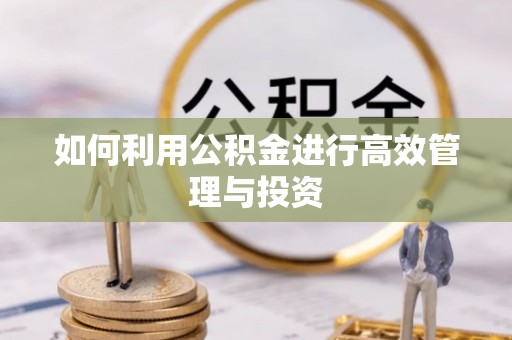 木兰如何利用公积金进行高效管理与投资