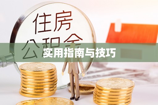 木兰实用指南与技巧